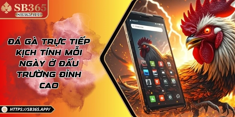 Đá Gà Trực Tiếp Kịch Tính Mỗi Ngày Ở Đấu Trường Đỉnh Cao