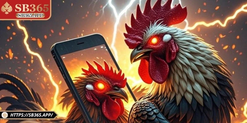 Hướng dẫn cách theo dõi